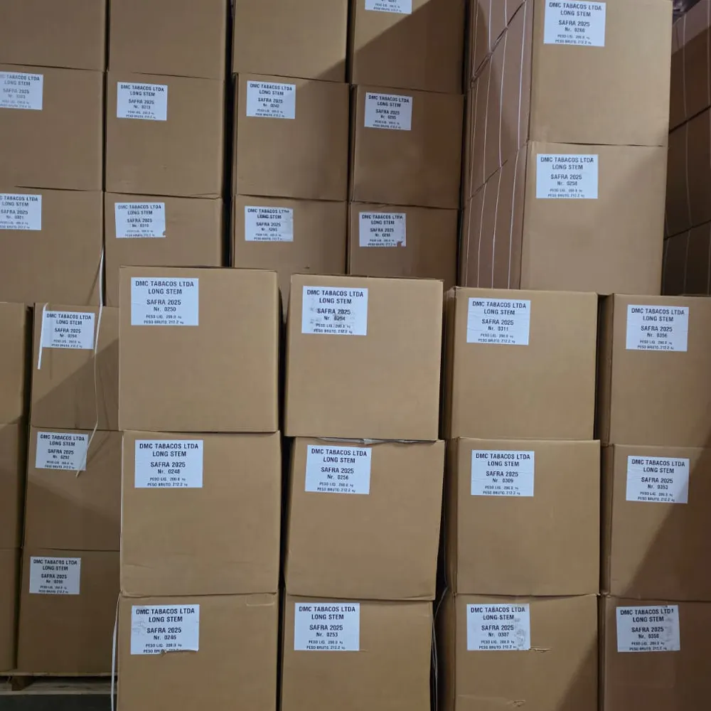 Caixas com etiquetas da DMC Tabacos empilhadas em armazém